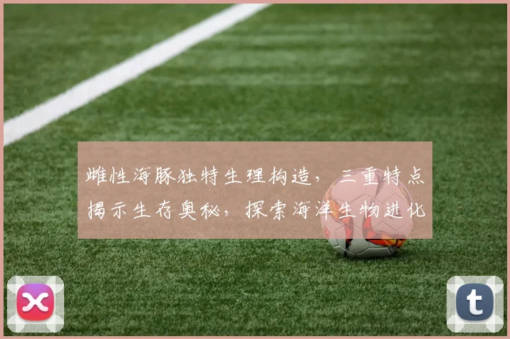 雌性海豚独特生理构造，三重特点揭示生存奥秘，探索海洋生物进化之路