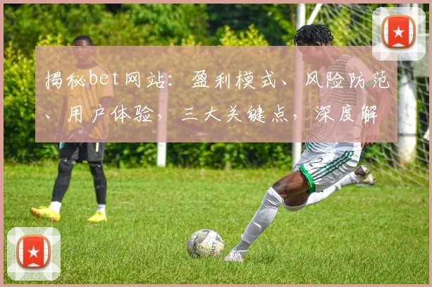 揭秘bet网站：盈利模式、风险防范、用户体验，三大关键点，深度解析